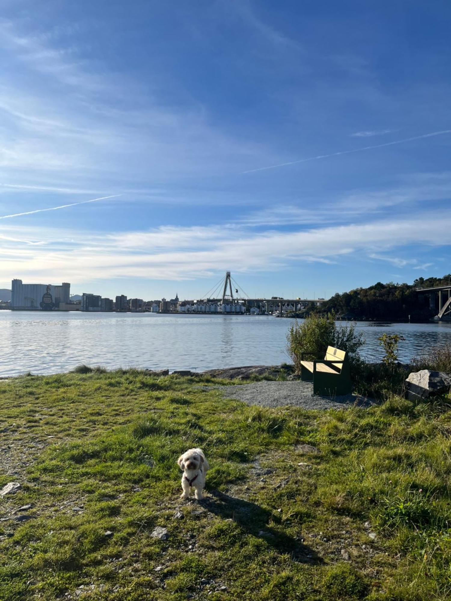 Lovely In Maritime Surroundings Near Апартаменты Ставангер